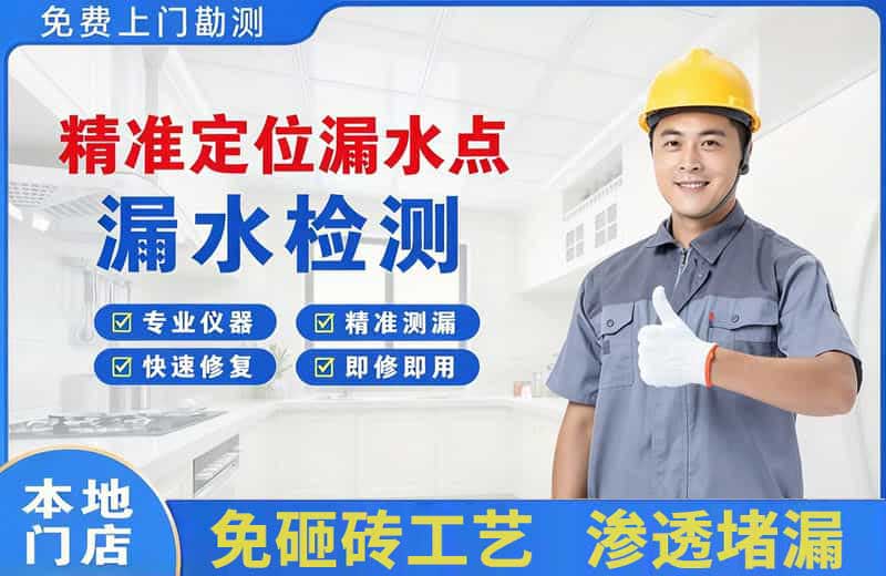 九原精准测漏点